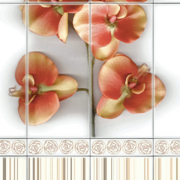 Orchidea Beige Deco